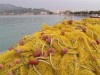 haven Zakynthos